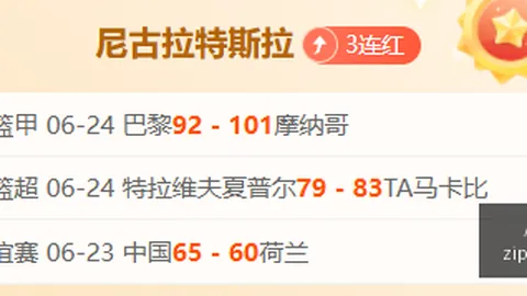真人 043619