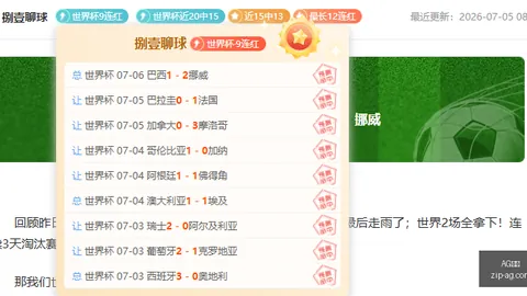 真人 043919