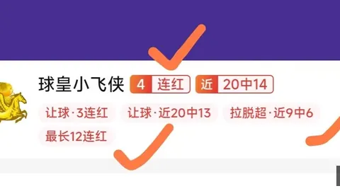哈兰德新娘造型，博主设计获球星盛赞，不容错过的视觉盛宴